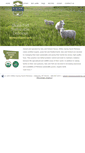 Mobile Screenshot of montanaorganiclamb.com